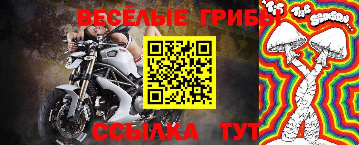 Галлюциногенные грибы мухоморы  Вход с VPN  магазин  наркотиков  Кстово 